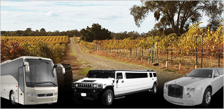 Amador County Wineries From San Francisco Amador County Wineries From San Francisco