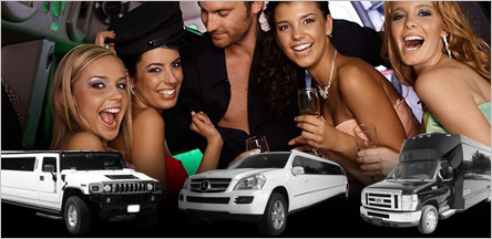 San Francisco Bachelor Party Limousine Party Bus San Francisco Bachelor Party Limousine Party Bus