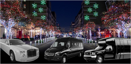 Christmas Light Tours Limo Service San Francisco