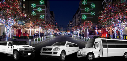 Christmas Light Tours San Francisco Christmas Light Tours San Francisco