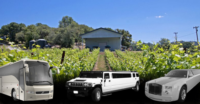 El Dorado County Wine Tours San Francisco