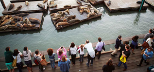 Limo Service San Francisco Pier 39