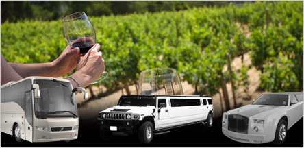 Napa Valley Wineries San Francisco Napa Valley Wineries San Francisco