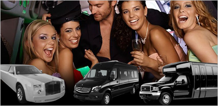 San Francisco Bachelor Party Limousine Party Bus
