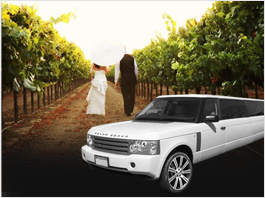 San Francisco Clarksburg Wine Tours Limo Service