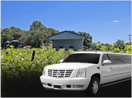 San Francisco El Dorado County Wineries Limo Service