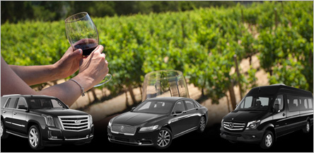 San Francisco Napa Valley Wine Tour San Francisco Napa Valley Wine Tour