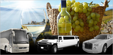 San Francisco Party Bus Wine Tours