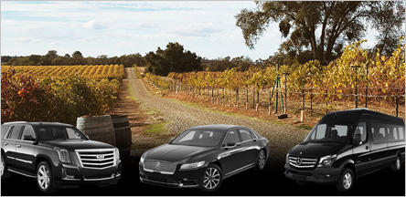 San Francisco To Amador County Wine Tour San Francisco To Amador County Wine Tour