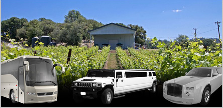 San Francisco To El Dorado County Wineries