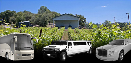 San Francisco To El Dorado County Wineries San Francisco To El Dorado County Wineries