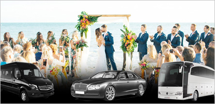 San Francisco Wedding Limousine Service